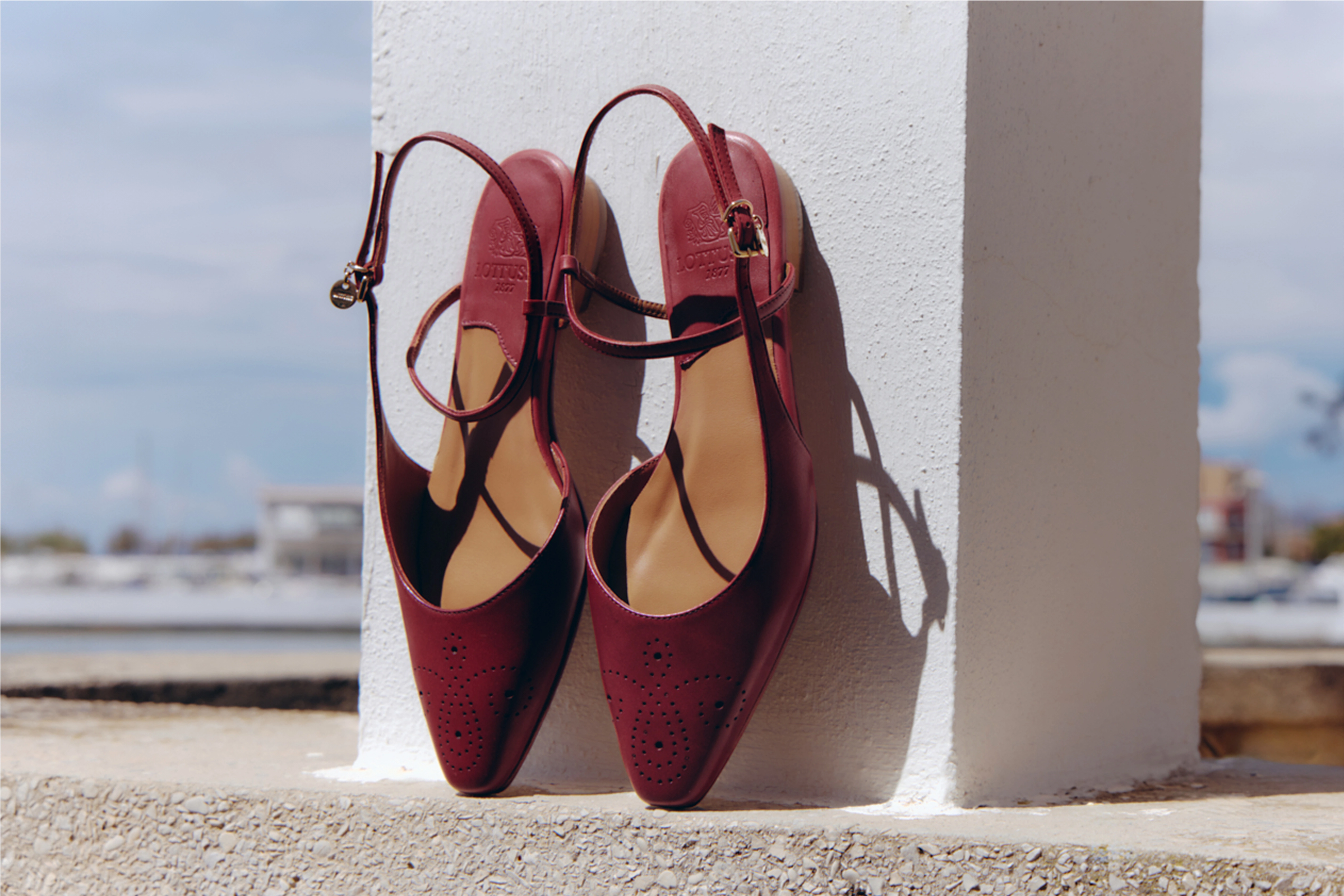 Pair of women's burgundy shoes photographed outdoors in the sun