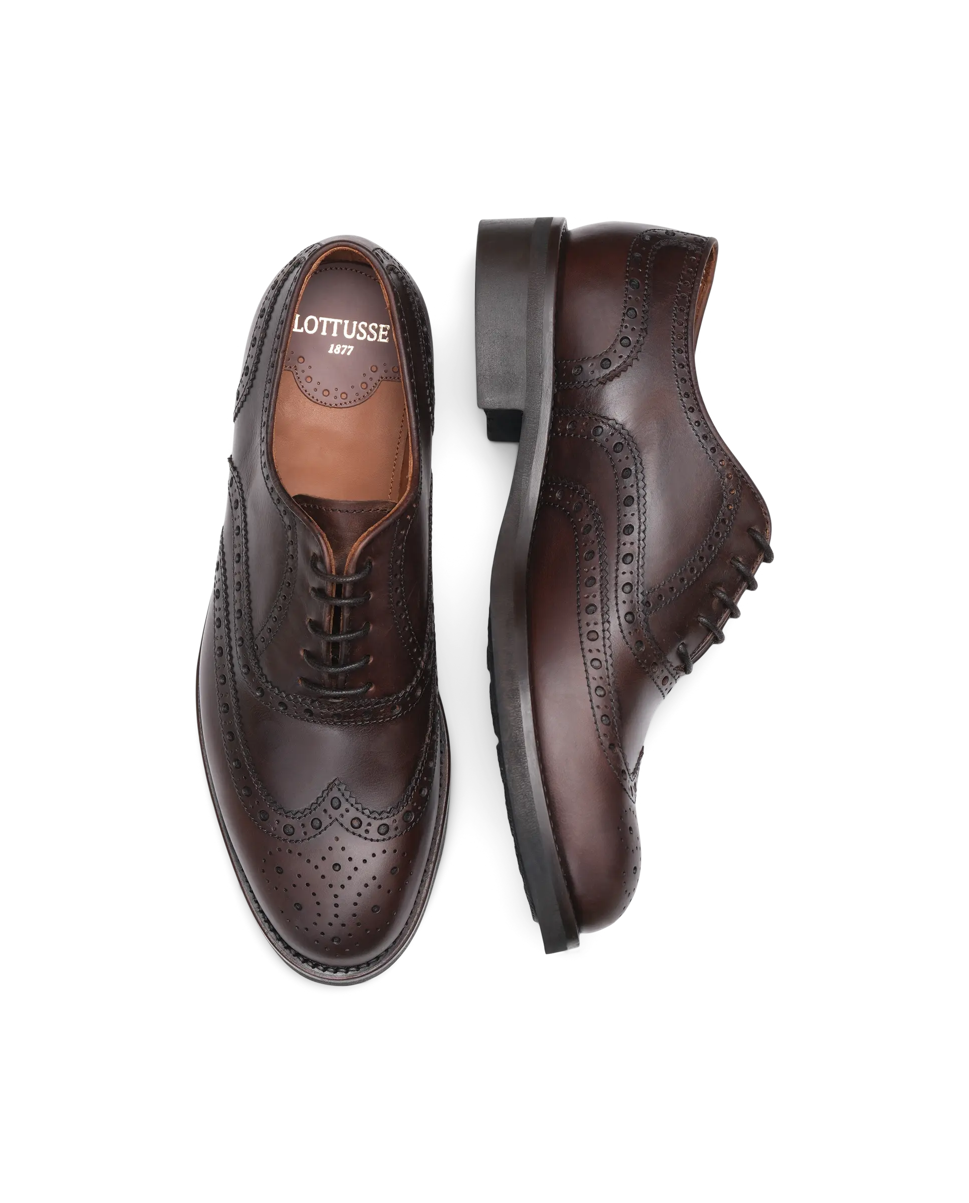 Lottusse LL05881-001 Regent - Zapatos de hombre Derby: clásicos atemporales